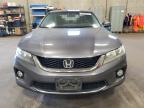 2013 Honda Accord Exl იყიდება Blaine-ში, MN - Rear End