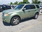 2008 Ford Escape Xlt for Sale in Bridgeton, MO - Rear End