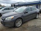 2013 Chevrolet Malibu 1Lt de vânzare în Mcfarland, WI - Hail