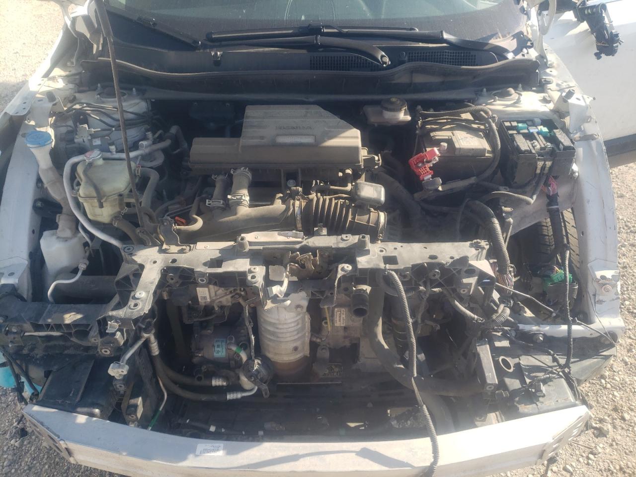 2019 Honda Cr-V Exl VIN: 2HKRW2H82KH125129 Lot: 54806653