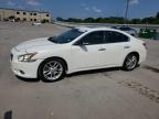2011 Nissan Maxima S for Sale in Wilmer, TX - Hail