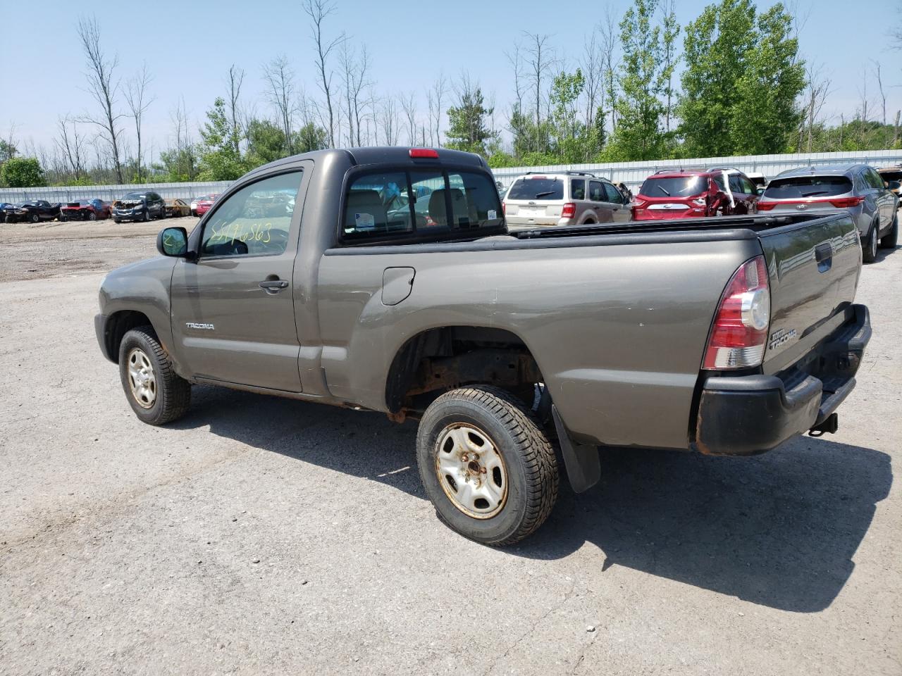 2009 Toyota Tacoma VIN: 5TENX22N19Z624201 Lot: 55196563