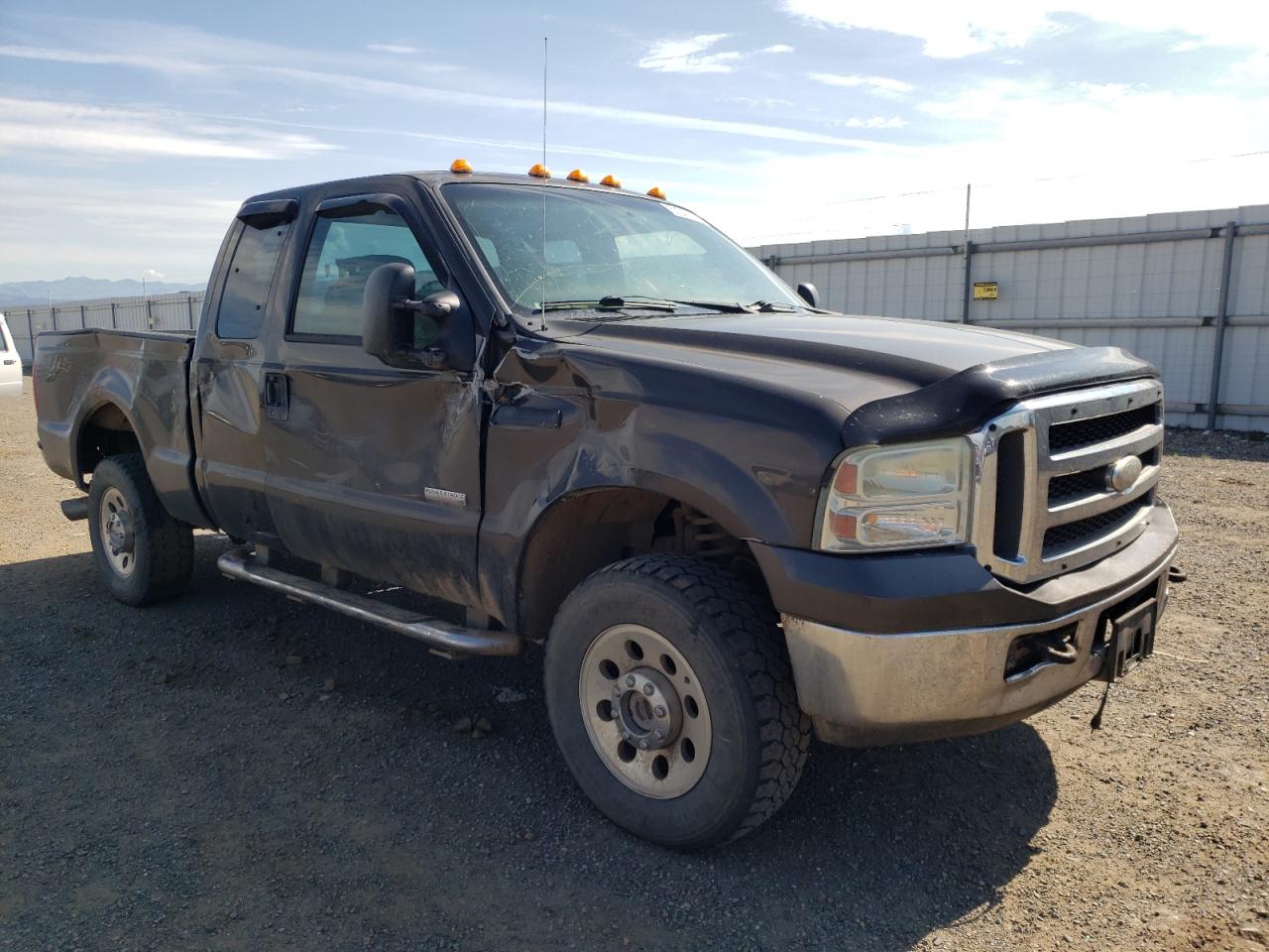 2005 Ford F250 Super Duty VIN: 1FTSX21P65EA82368 Lot: 57249743