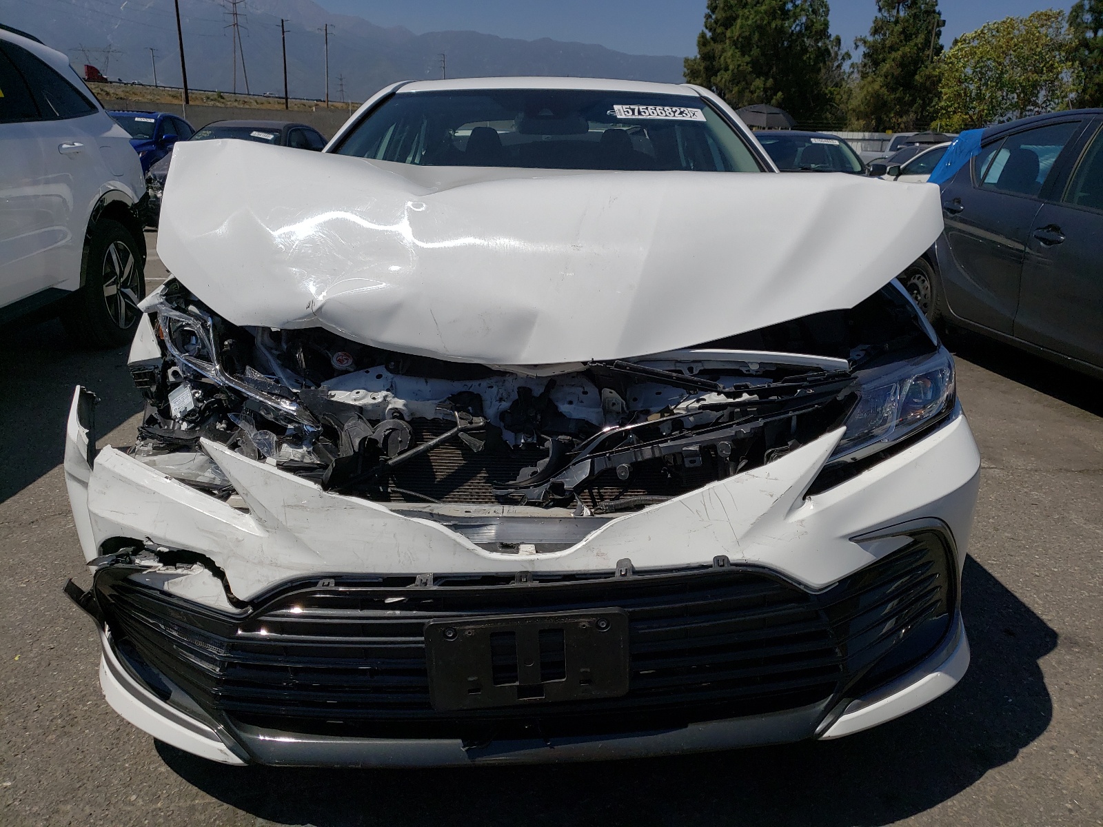 2022 Toyota Camry Le vin: 4T1C11AK4NU651952