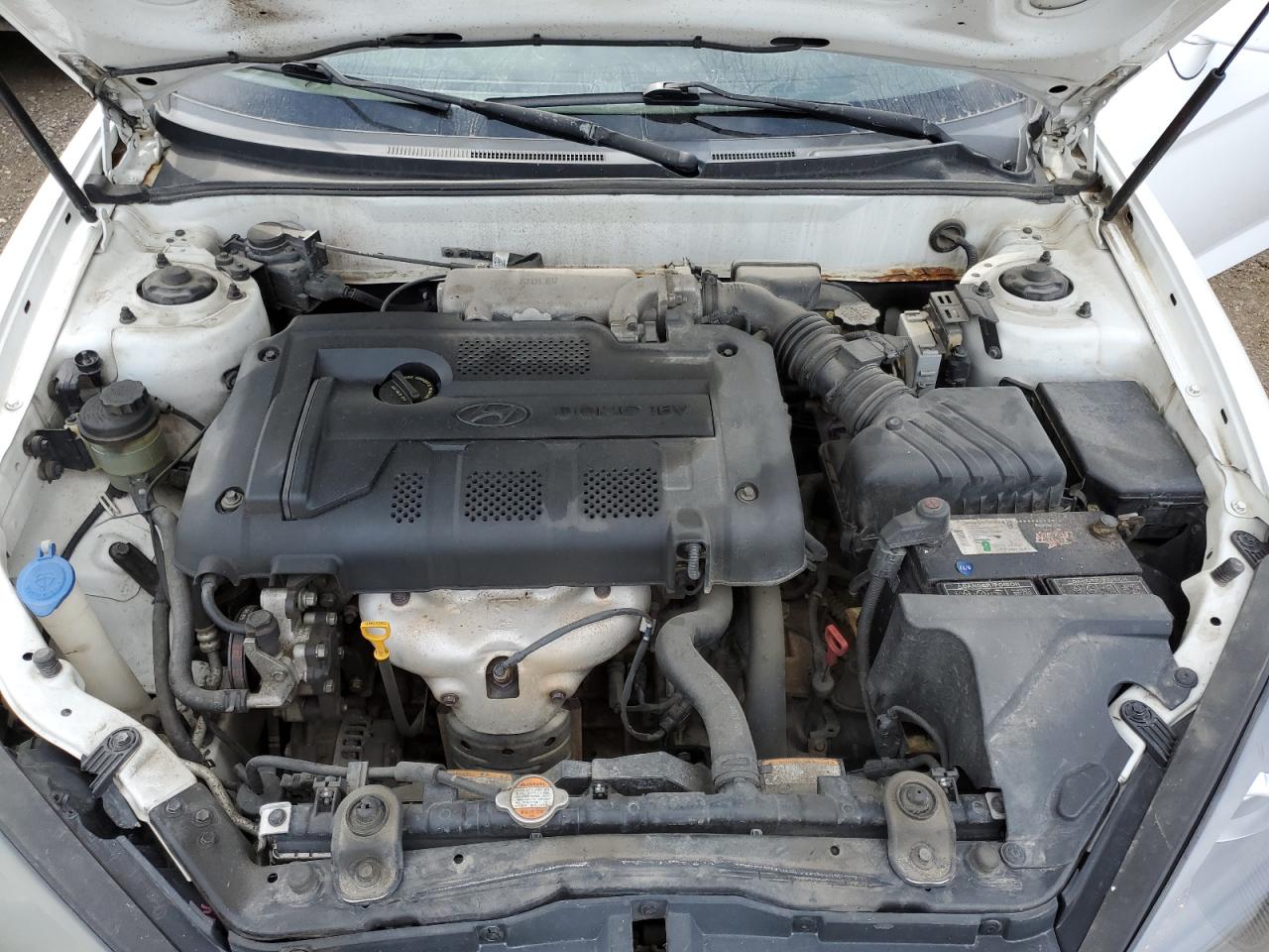 2008 Hyundai Tiburon Gs VIN: KMHHM65D98U289367 Lot: 54740433