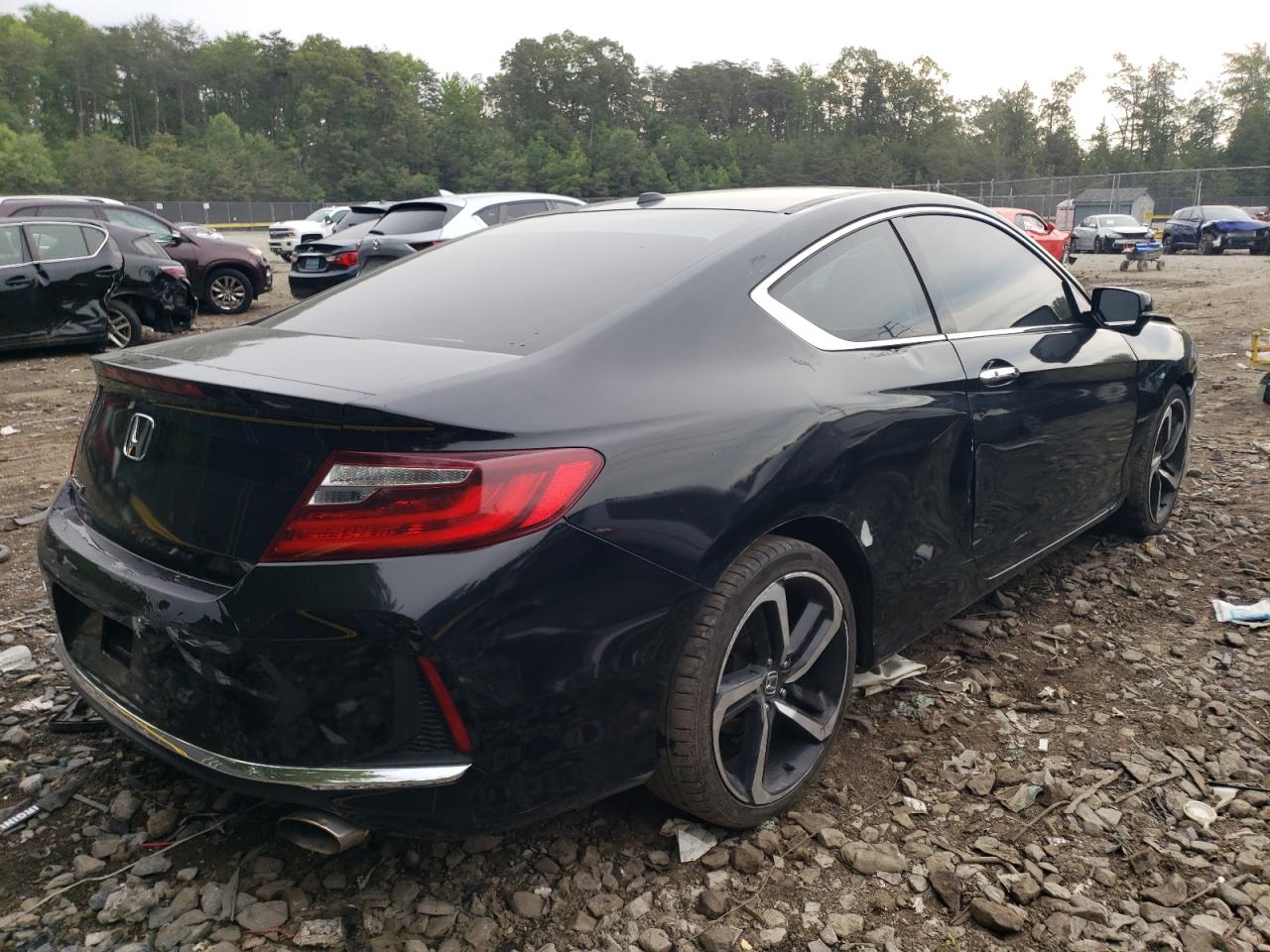 2017 Honda Accord Exl VIN: 1HGCT1B80HA008040 Lot: 56205153