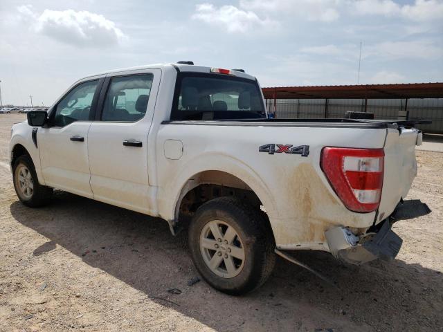  FORD F-150 2023 Белы