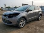 2014 Ford Escape Se продається в Dyer, IN - Rear End