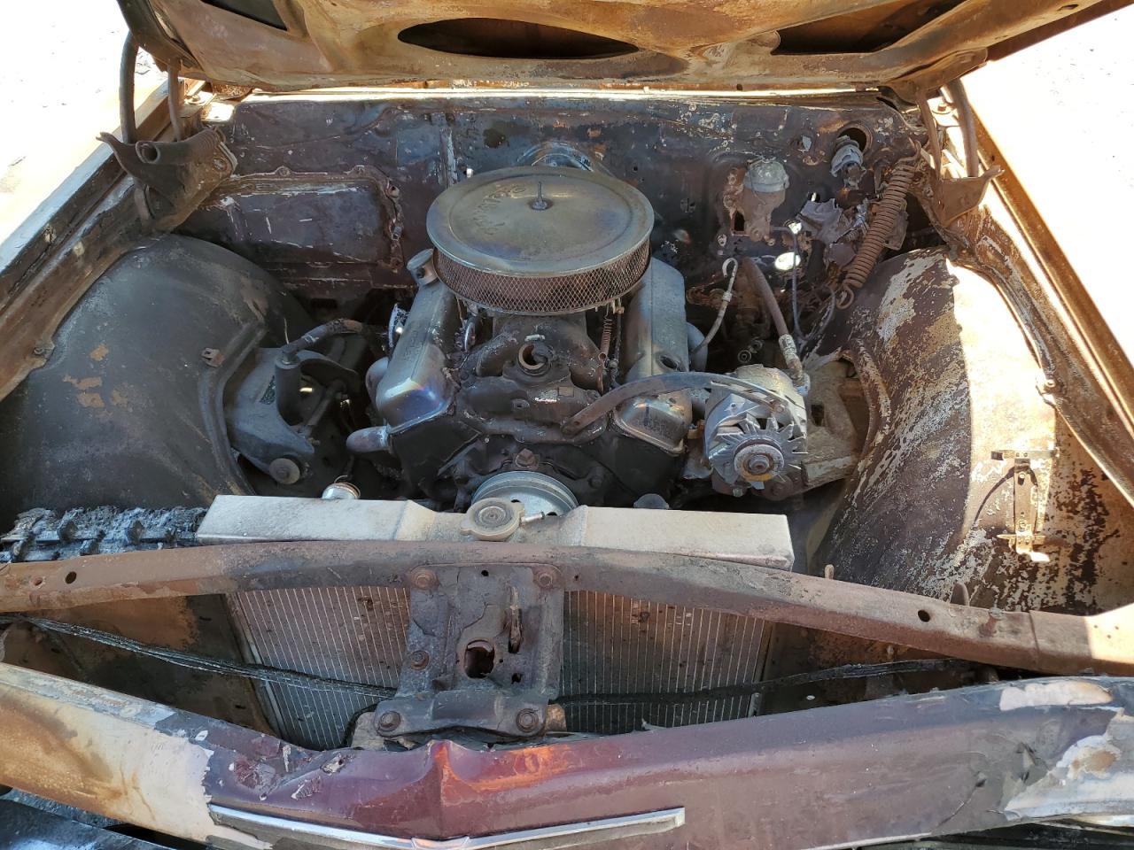 164375L212446 1965 Chevrolet Impala