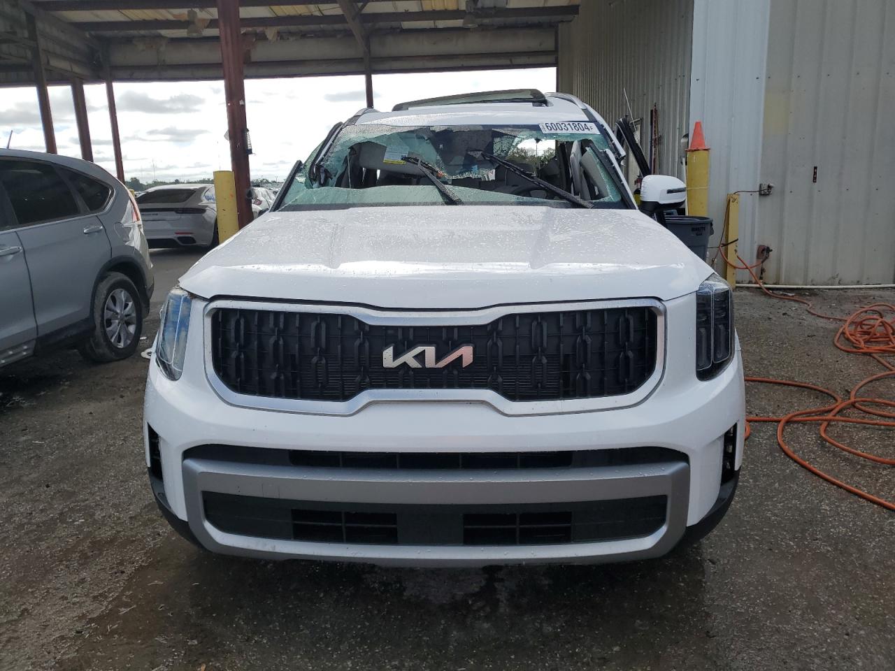 2023 Kia Telluride Ex VIN: 5XYP34GC5PG331190 Lot: 60031804