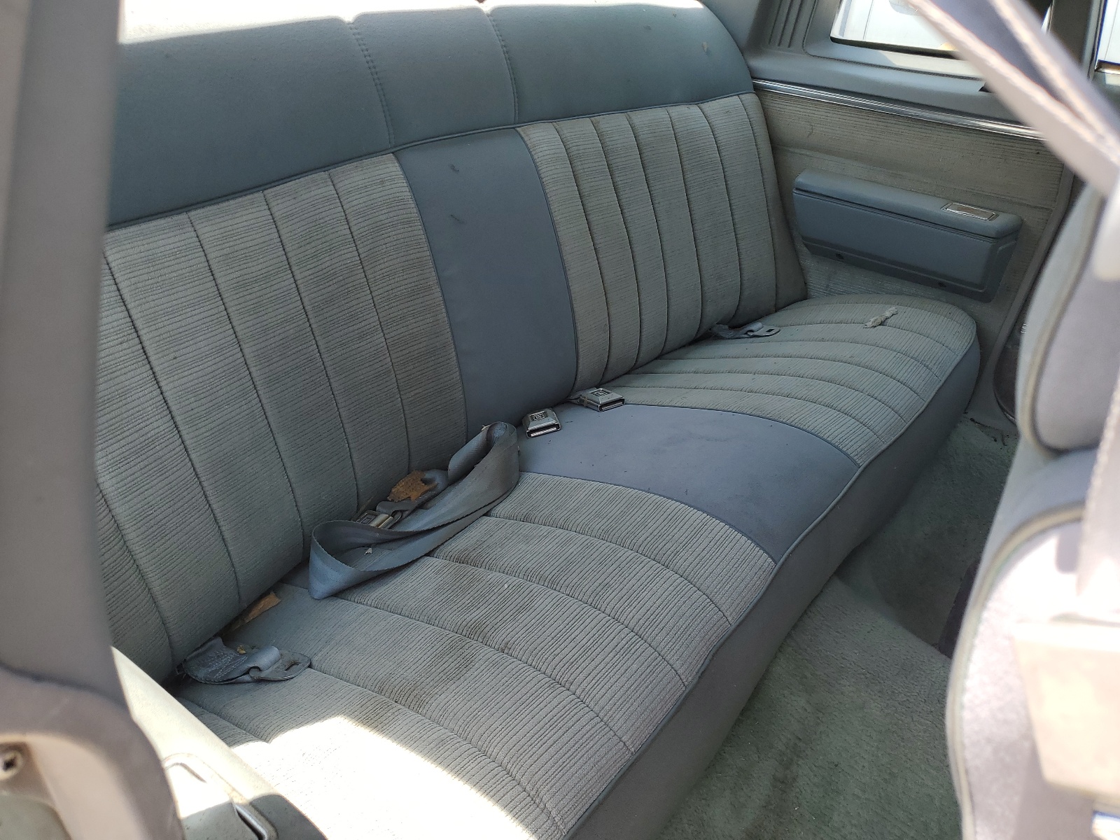 1G1AN47HXBJ201113 1981 Chevrolet Caprice Classic