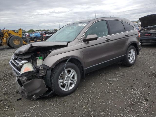 2010 Honda Cr-V Exl