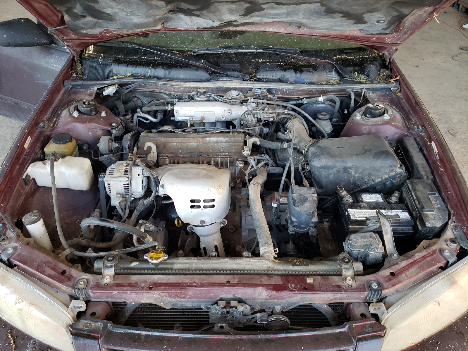 JT2BG22K2X0294048 1999 Toyota Camry Le