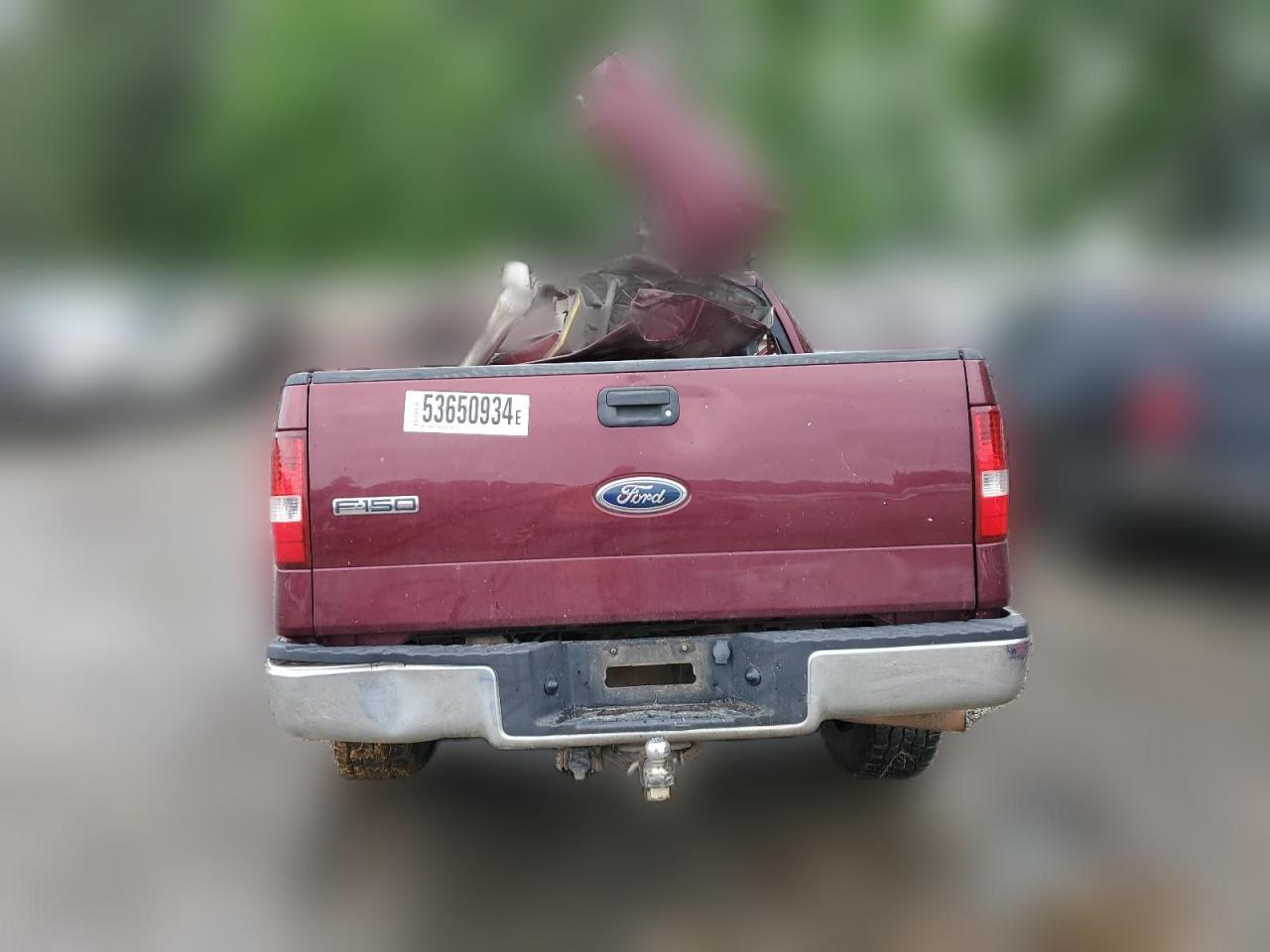 2005 Ford F150 Supercrew VIN: 1FTPW125X5FB67014 Lot: 53650934