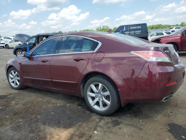 19UUA8F25CA019553 | 2012 Acura tl