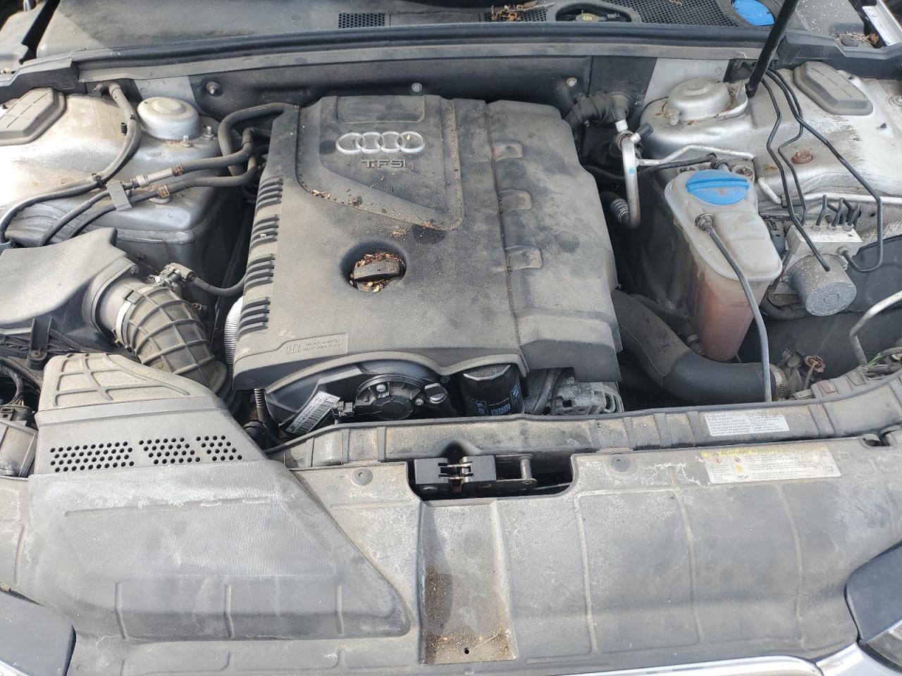 2013 Audi A4 Premium Plus VIN: WAUHFAFL8DN017384 Lot: 59986784