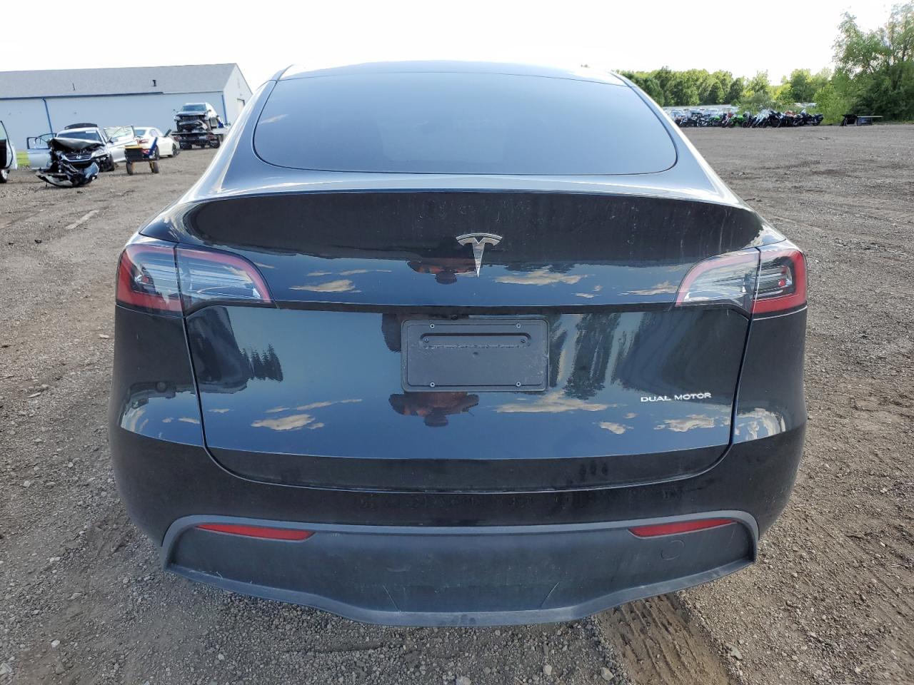 2023 Tesla Model Y VIN: 7SAYGDEE9PF809117 Lot: 57521924