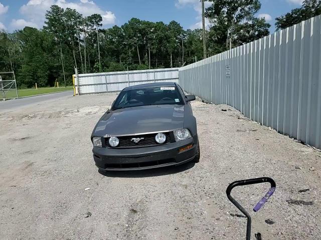 2005 Ford Mustang Gt VIN: 1ZVHT82H255113404 Lot: 58634644