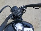 2019 HARLEY-DAVIDSON FXBB  for sale at Copart FL - PUNTA GORDA SOUTH