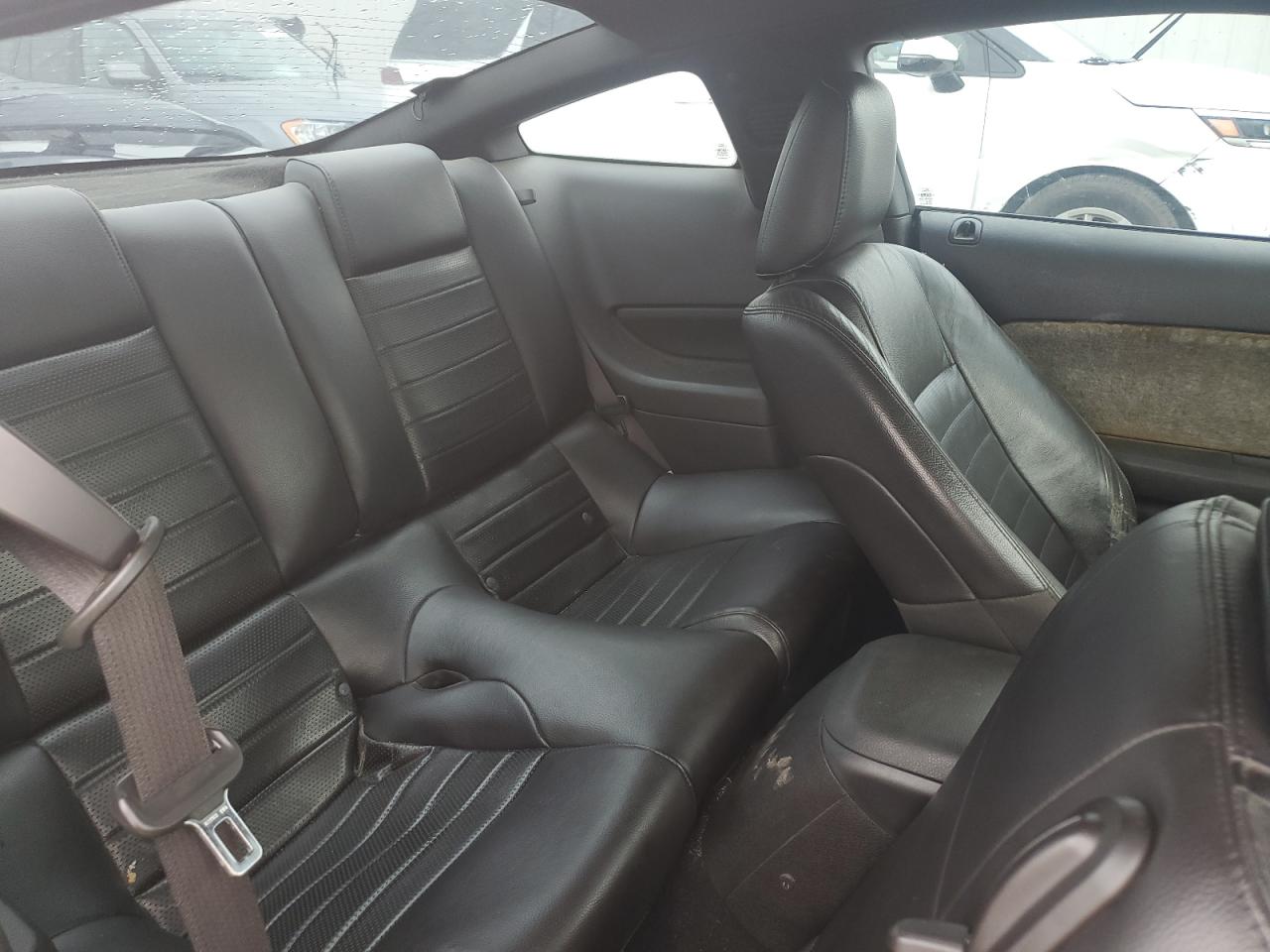 2009 Ford Mustang Gt VIN: 1ZVHT82H295146487 Lot: 60851624