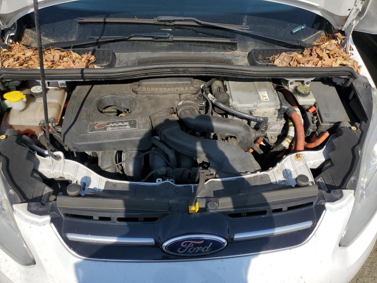 2013 Ford C-Max Premium VIN: 1FADP5CUXDL531371 Lot: 59591734