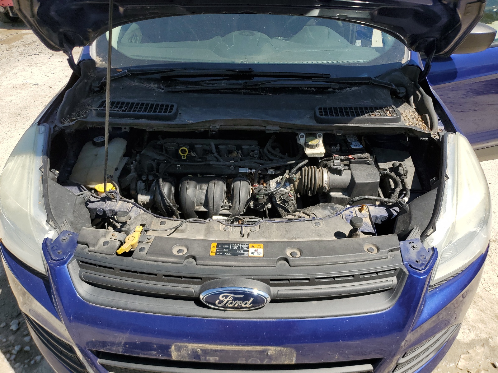 1FMCU0F70DUC15426 2013 Ford Escape S