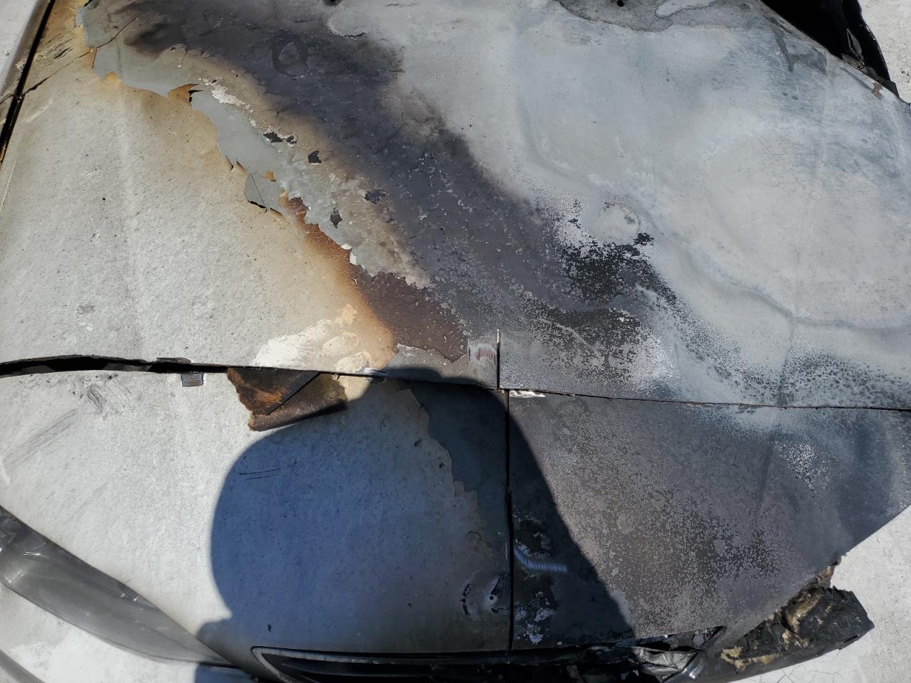 2000 Lexus Es 300 VIN: JT8BF28G4Y5102399 Lot: 57564964