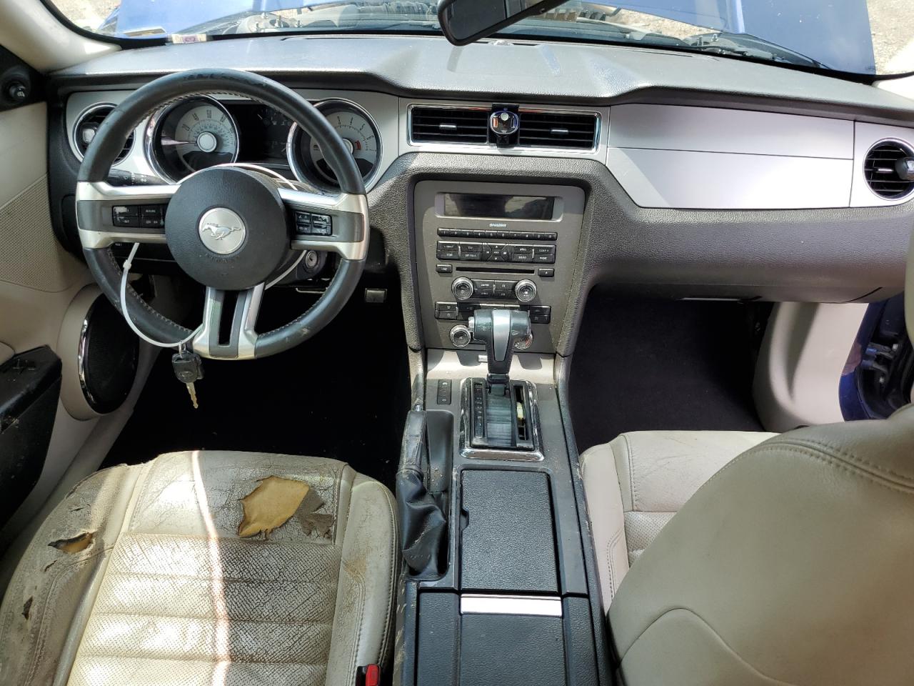 2010 Ford Mustang VIN: 1ZVBP8AN0A5126051 Lot: 57253344