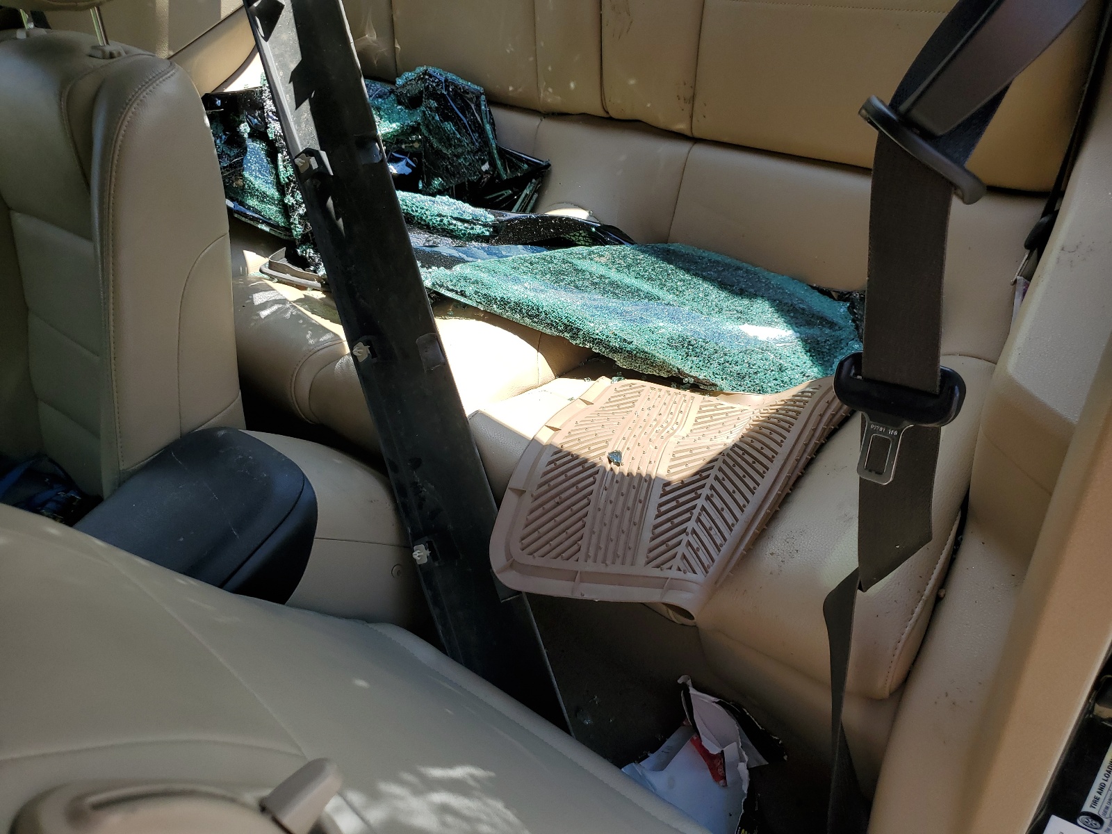 1ZVHT80N695118460 2009 Ford Mustang