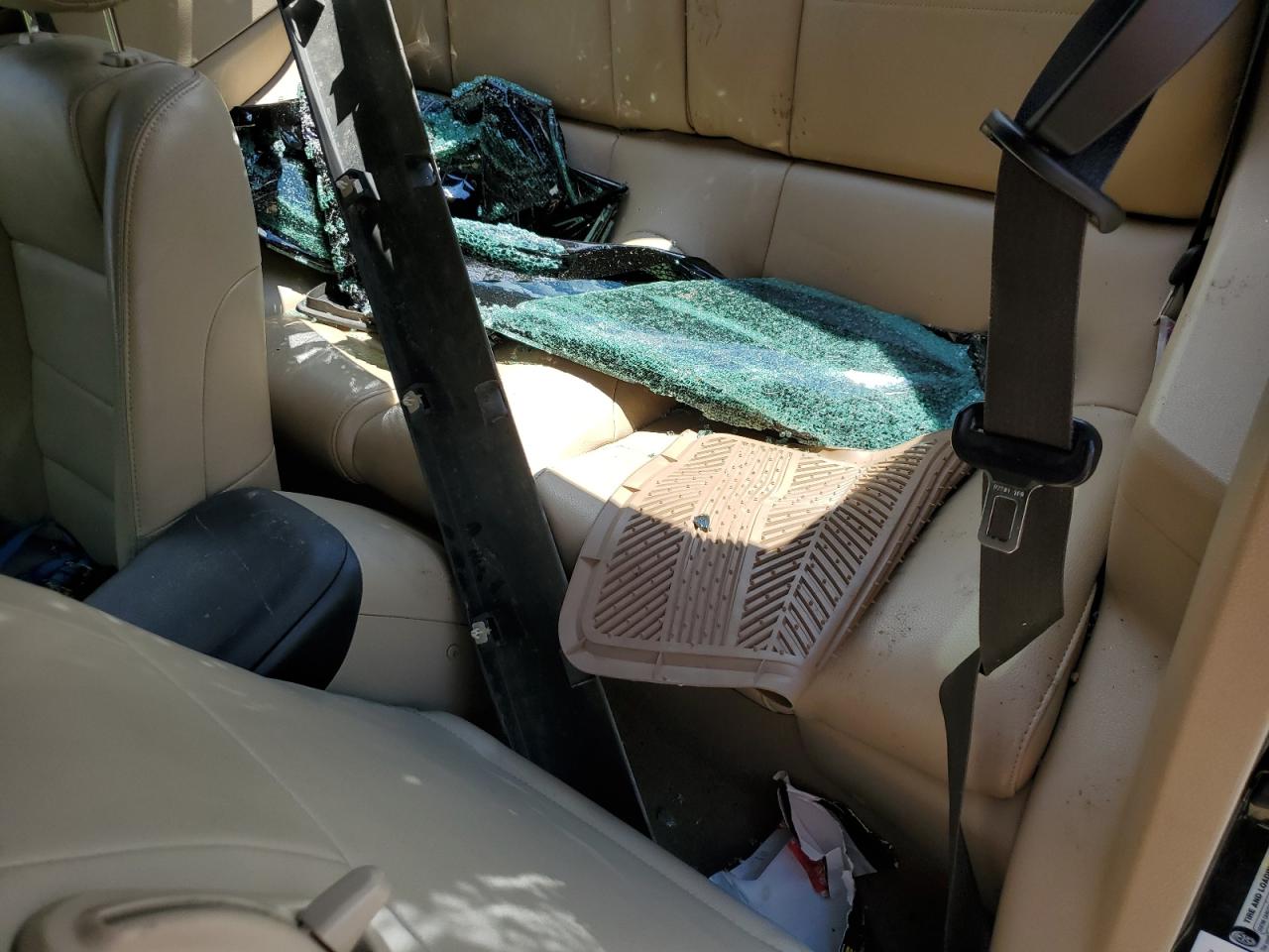 2009 Ford Mustang VIN: 1ZVHT80N695118460 Lot: 61272594