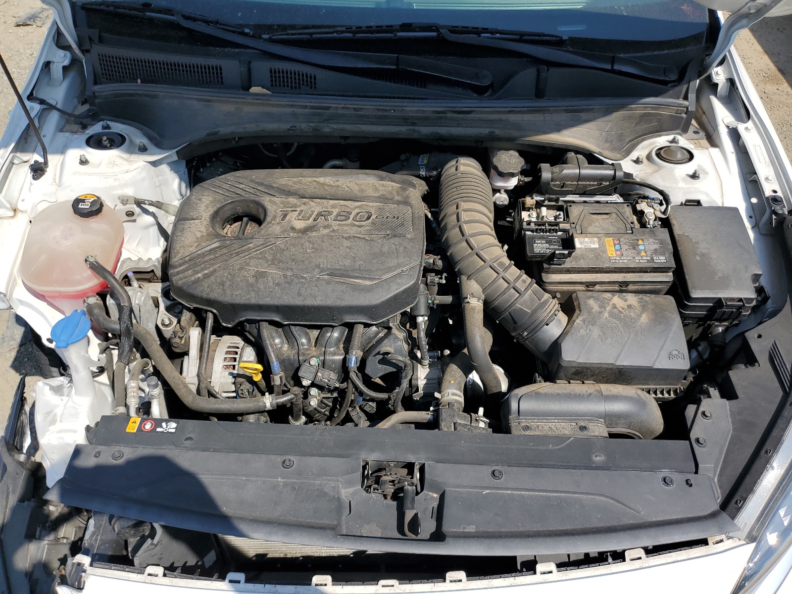 3KPF44AC5NE465113 2022 Kia Forte Gt