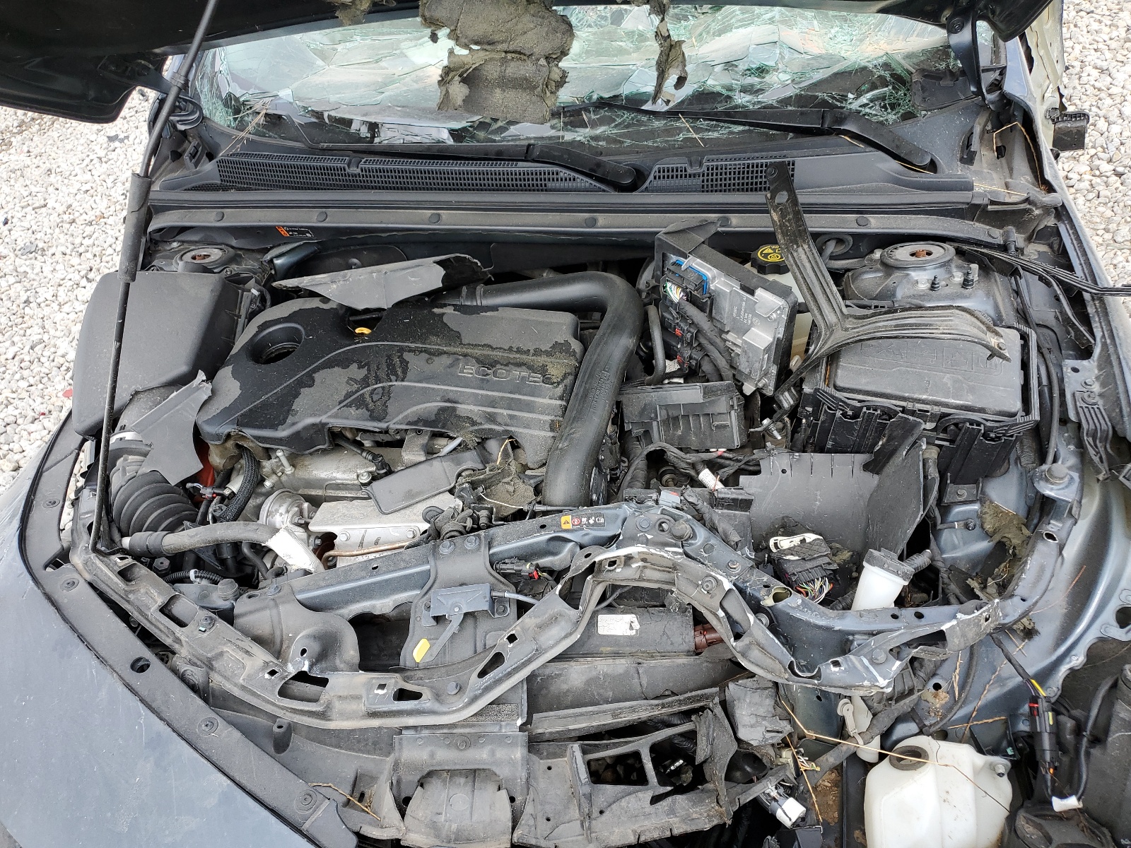 1G1ZG5ST3KF213556 2019 Chevrolet Malibu Rs