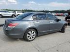 2009 Honda Accord Exl   na sprzedaż w Lumberton, NC - Front End