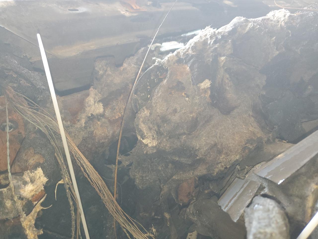 2012 Volkswagen Passat Sel VIN: 1VWCN7A32CC097315 Lot: 60951394