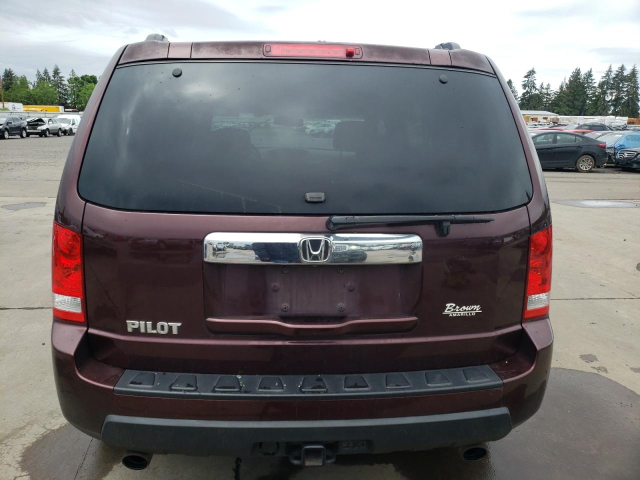 2009 Honda Pilot Exl VIN: 5FNYF38589B019204 Lot: 57355984
