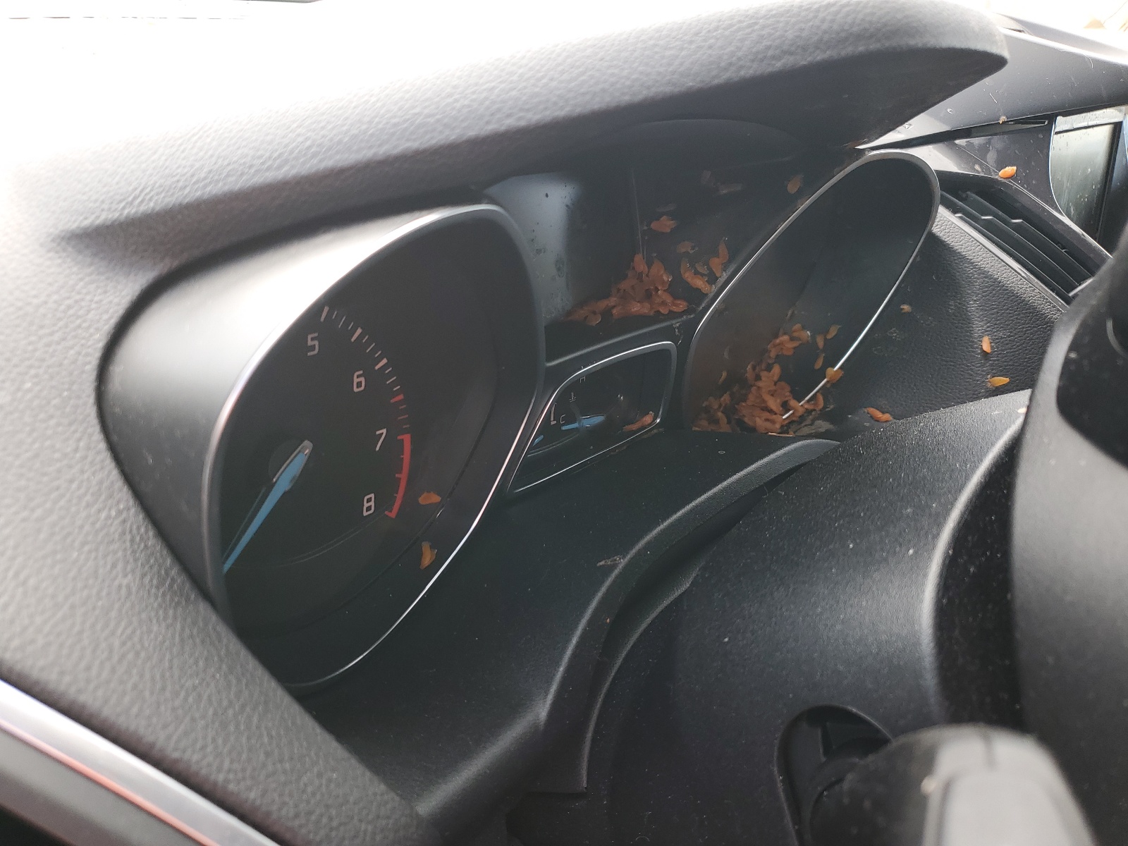 1FMCU9H97DUA79802 2013 Ford Escape Sel