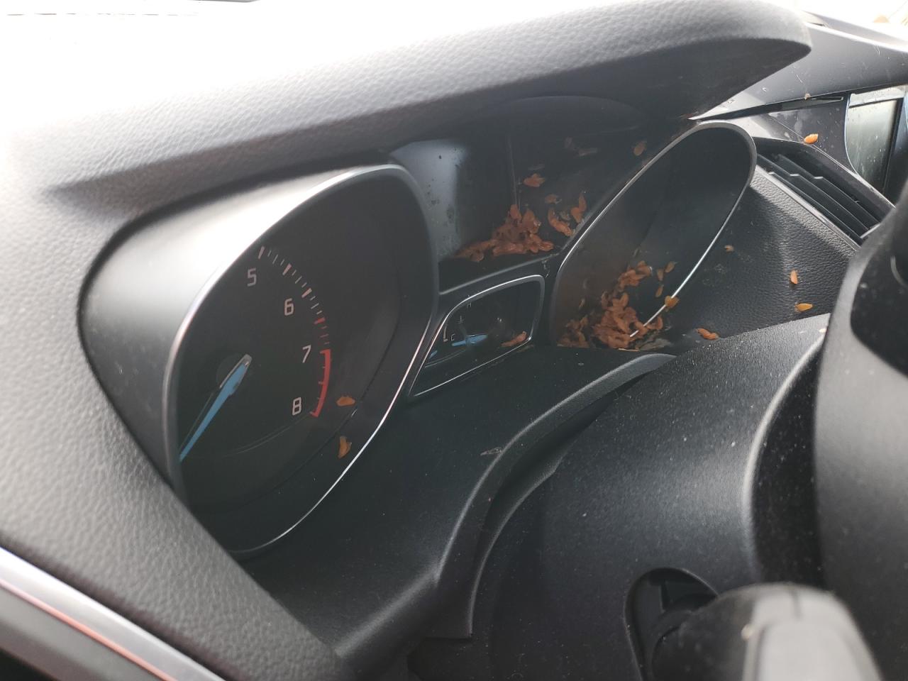 2013 Ford Escape Sel VIN: 1FMCU9H97DUA79802 Lot: 60153804