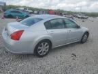 2008 Nissan Maxima Se на продаже в Memphis, TN - Front End