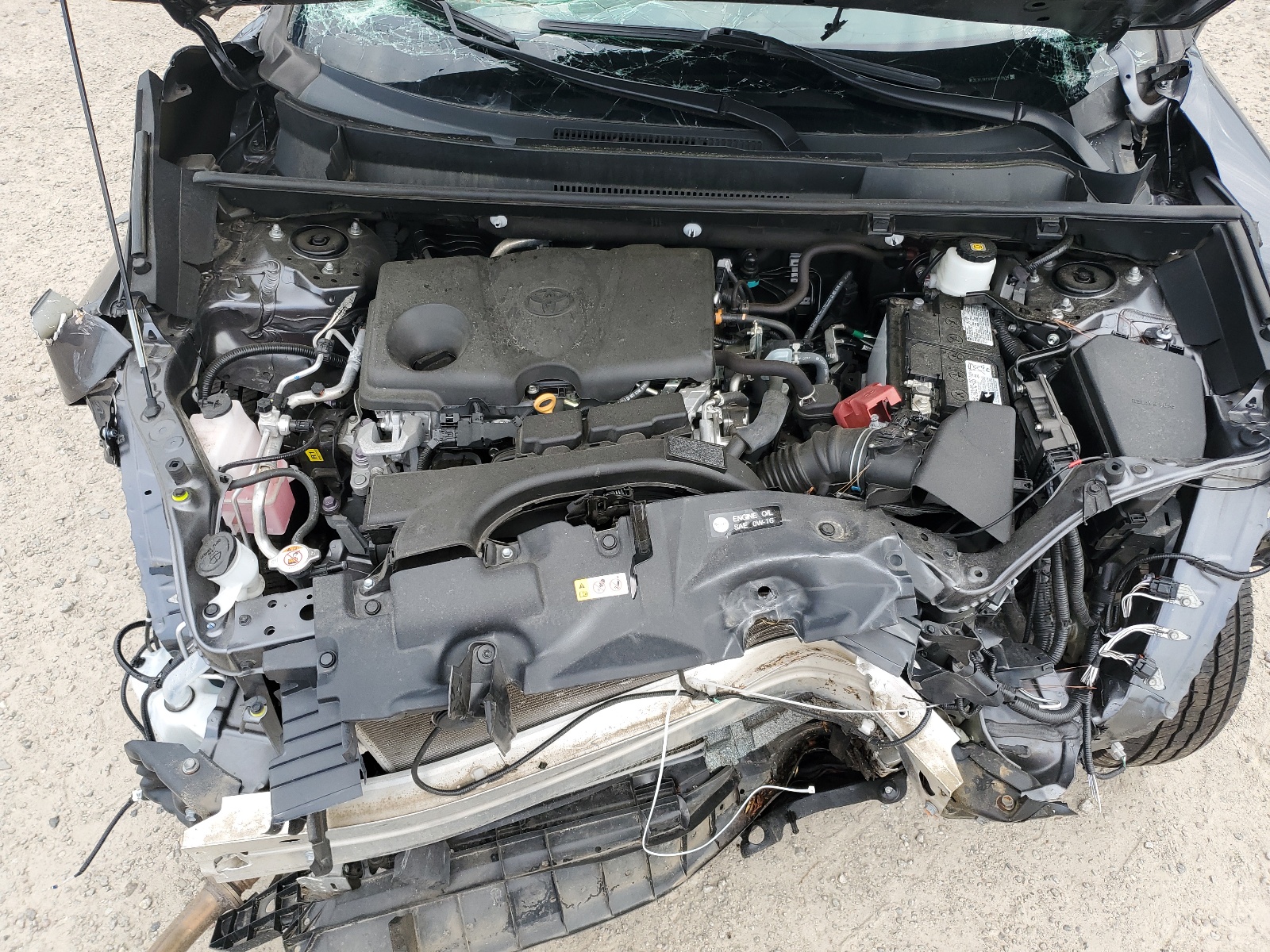 2T3F1RFV9MC229438 2021 Toyota Rav4 Le