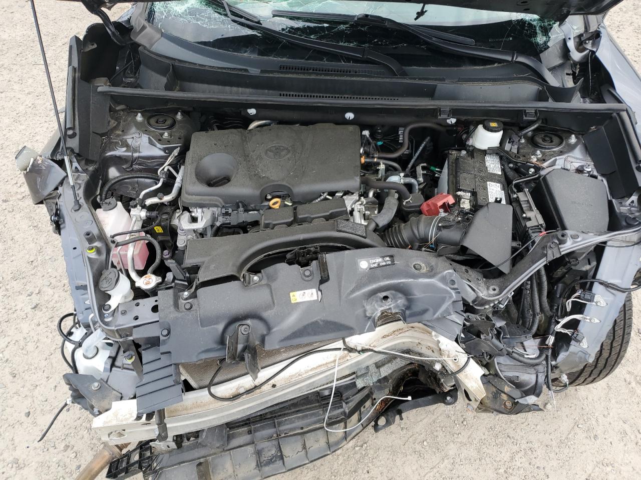 2021 Toyota Rav4 Le VIN: 2T3F1RFV9MC229438 Lot: 59078314