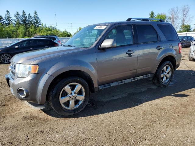 2011 Ford Escape Limited