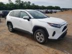 2022 Toyota Rav4 Xle for Sale in Theodore, AL - Rear End