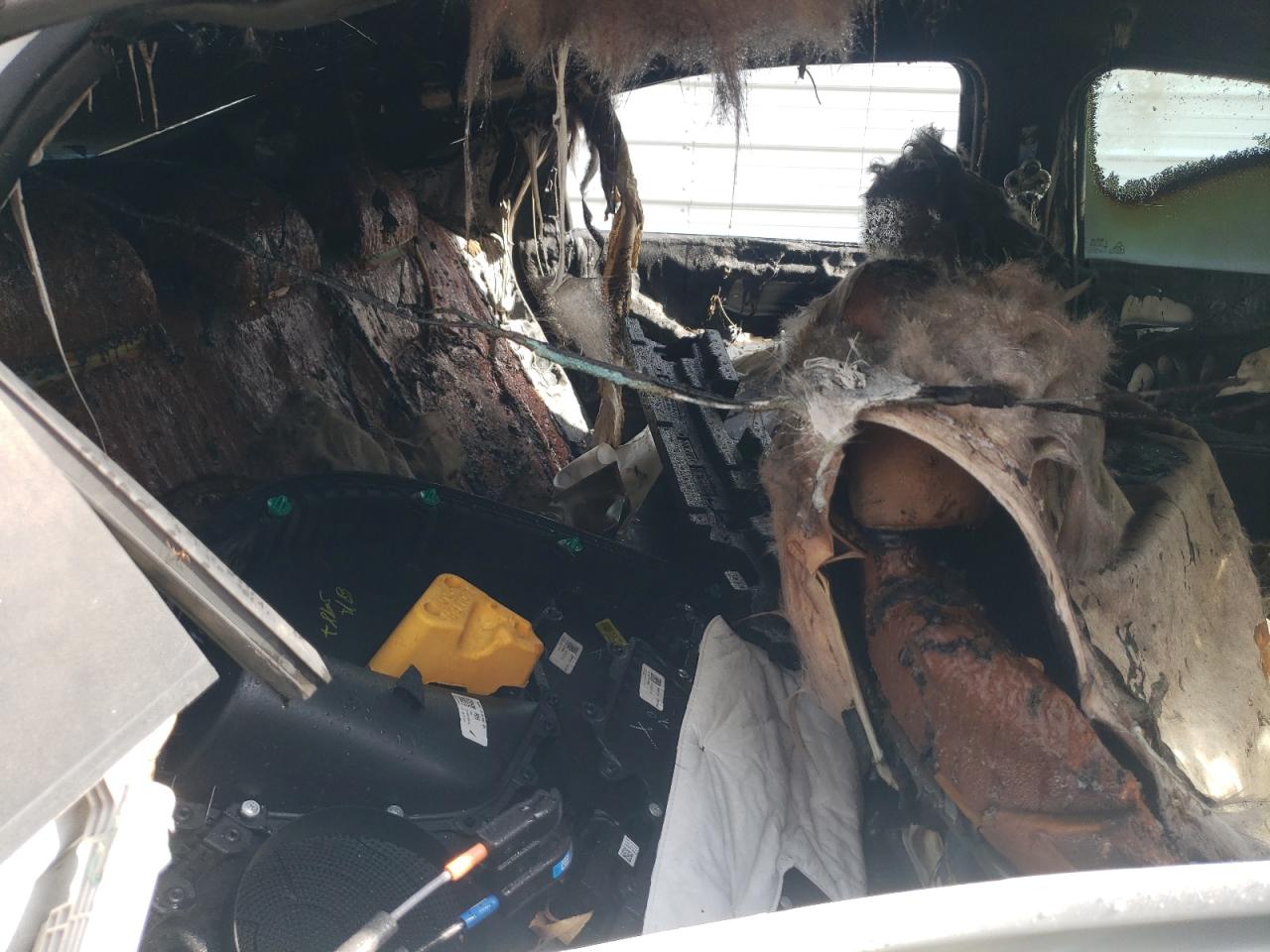 2021 Kia Forte Fe VIN: 3KPF24AD1ME350490 Lot: 59161984