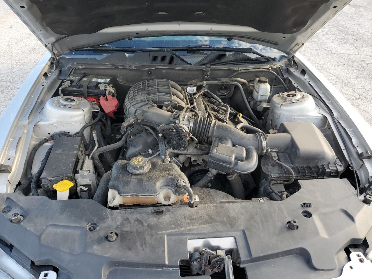 2011 Ford Mustang VIN: 1ZVBP8AM4B5112808 Lot: 60056684