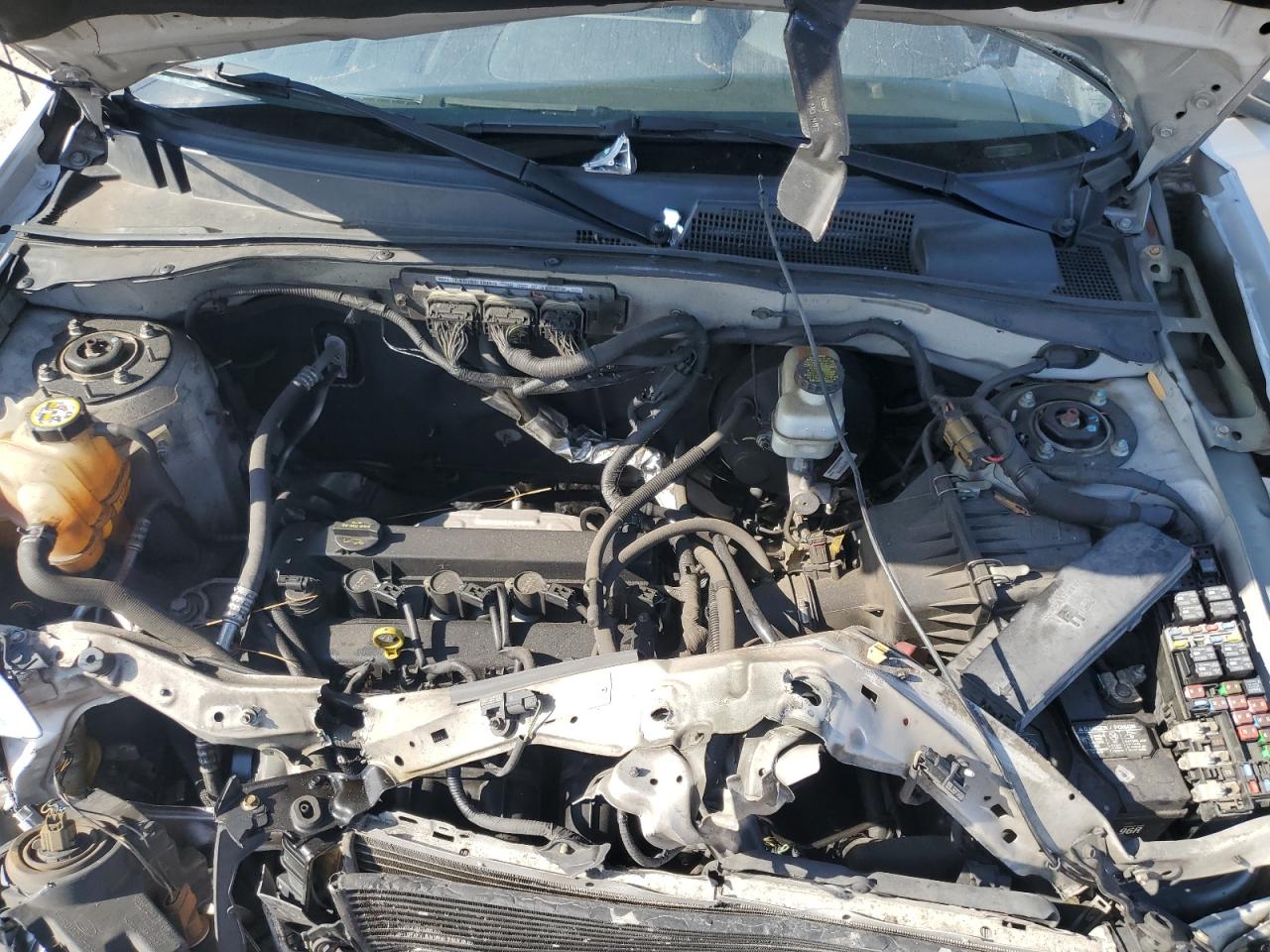 2011 Ford Escape Xlt VIN: 1FMCU9D74BKA18954 Lot: 58041864