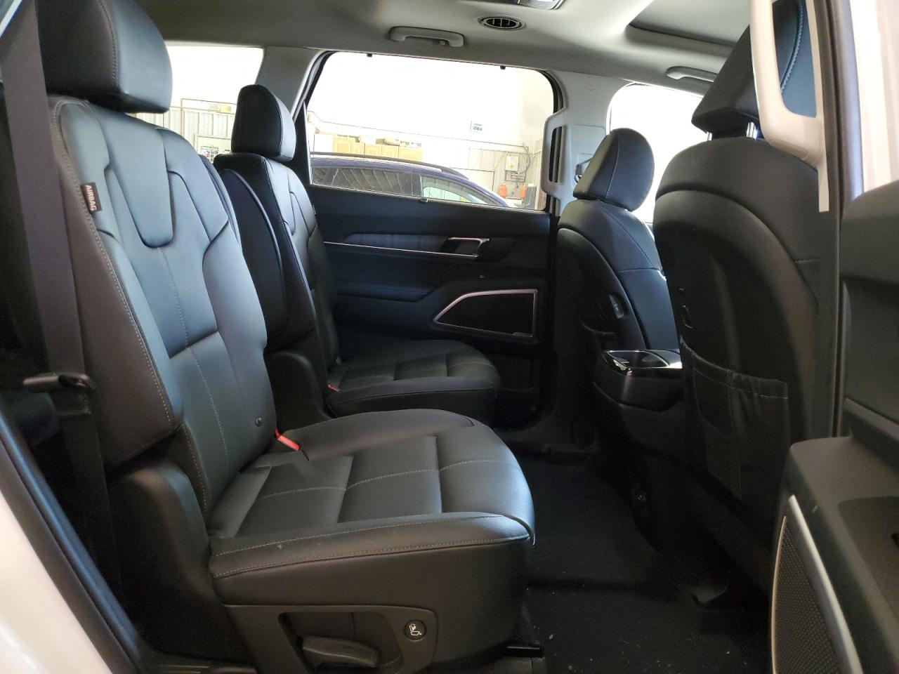 2024 Kia Telluride Ex VIN: 5XYP3DGC8RG484830 Lot: 57456294