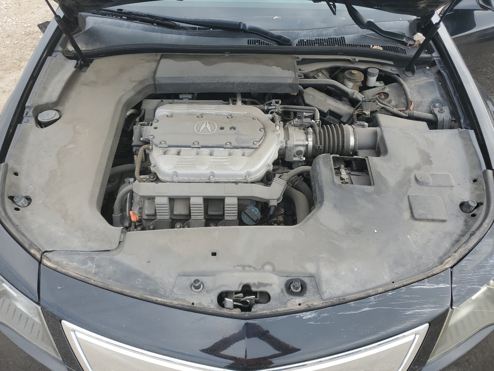 19UUA9E52DA004527 2013 Acura Tl Tech