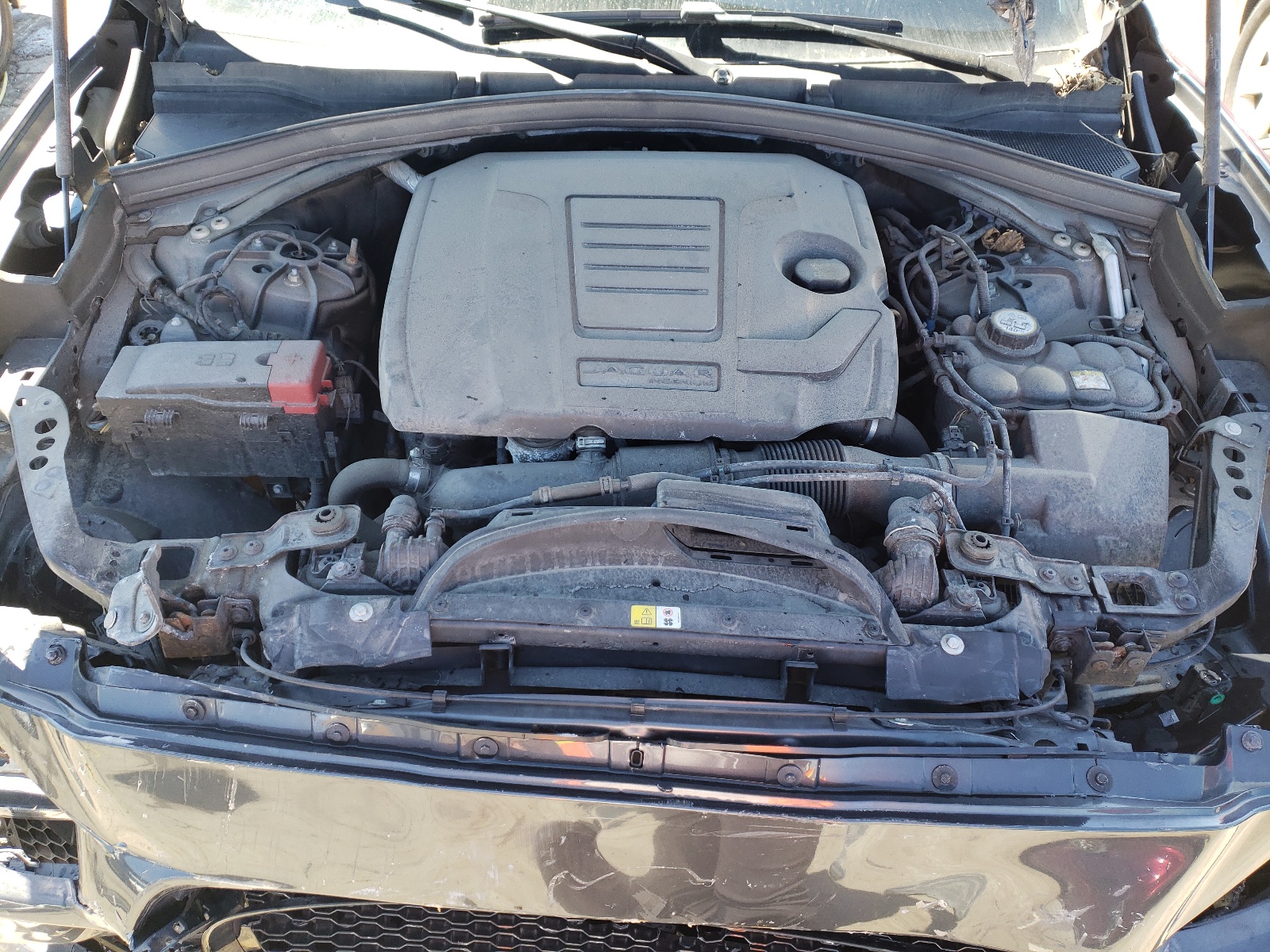 SADCL2GX1KA603348 2019 Jaguar F-Pace R - Sport