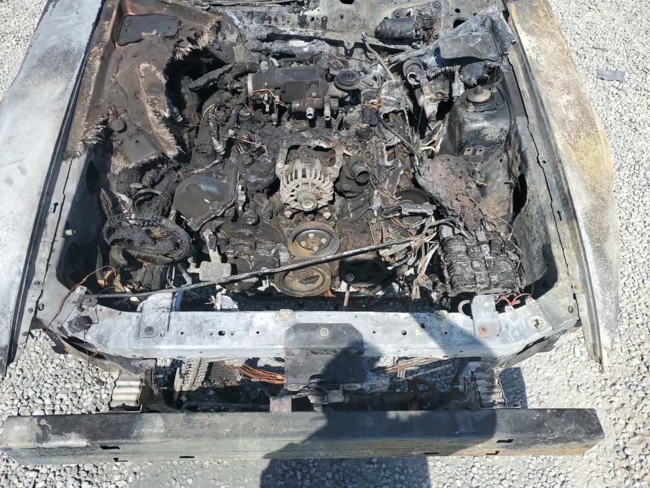 2002 Ford Mustang Gt VIN: 1FAFP45X62F225130 Lot: 59887984