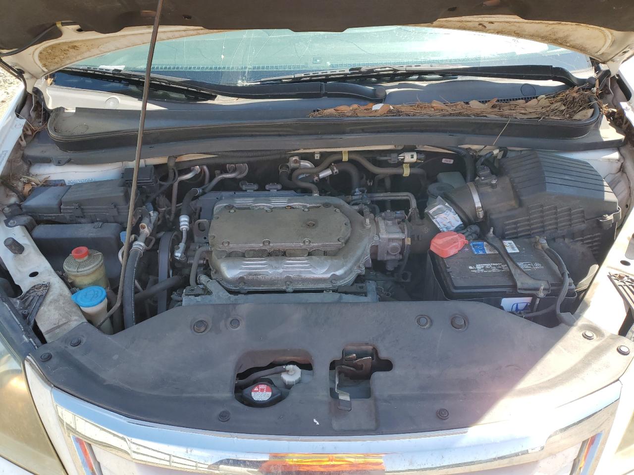 2009 Honda Odyssey Exl VIN: 5FNRL38679B030796 Lot: 58168834